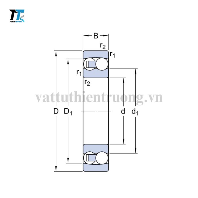 Vòng Bi Cầu Tự Lựa 2 Dãy 135 TN9